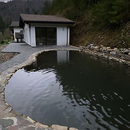 Cottage house Mizhhirya  エクステリア 写真