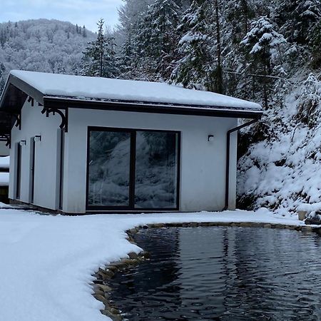 Cottage house Mizhhirya  エクステリア 写真