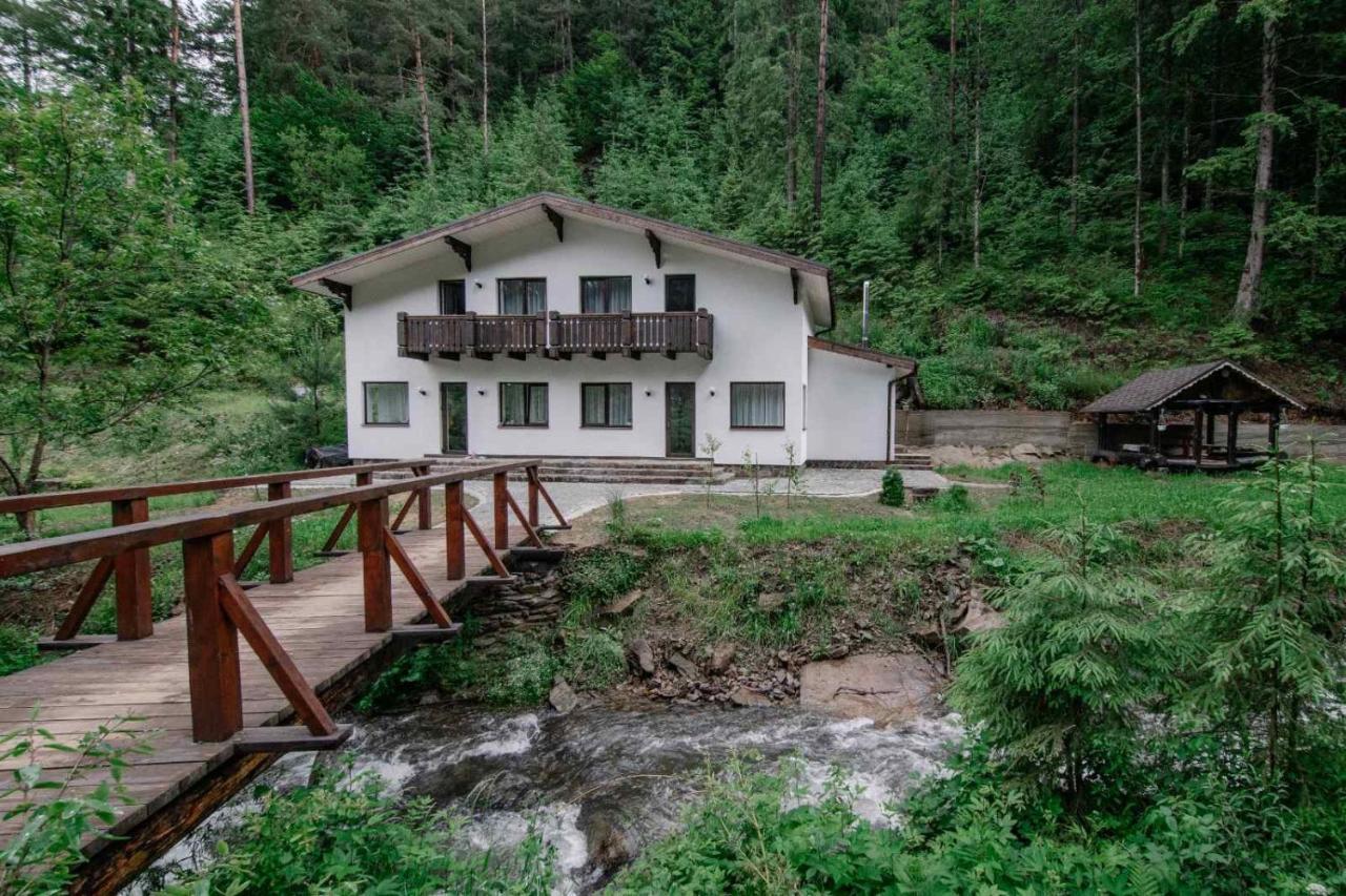 Cottage house Mizhhirya  エクステリア 写真