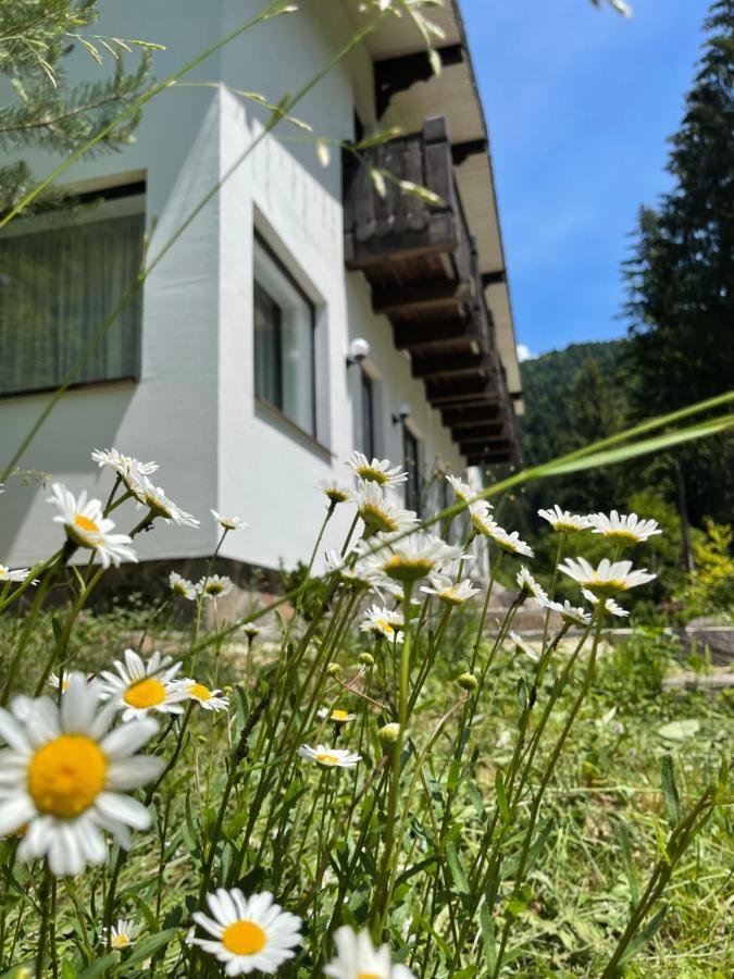 Cottage house Mizhhirya  エクステリア 写真
