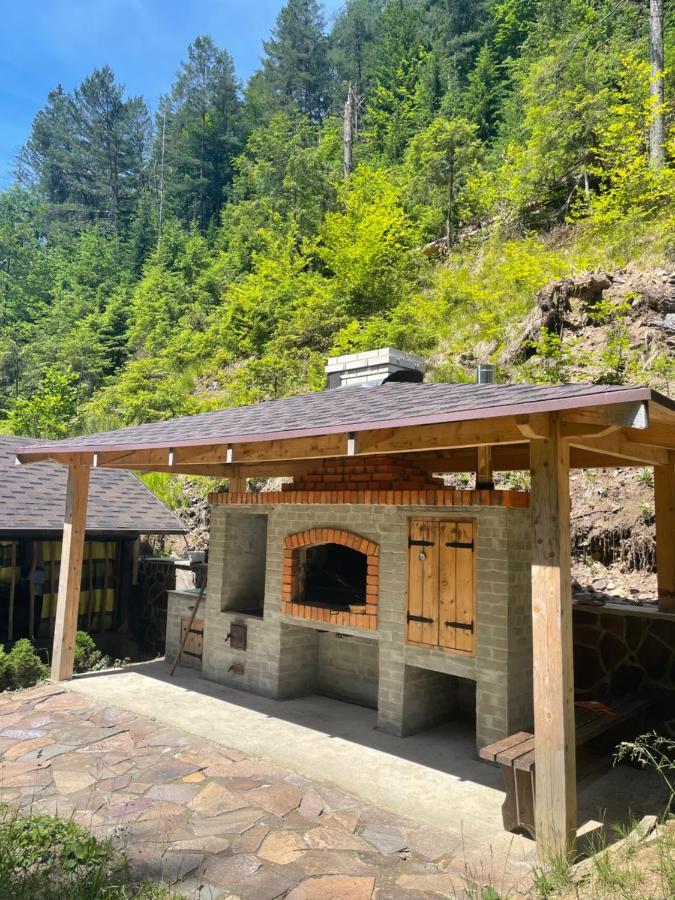 Cottage house Mizhhirya  エクステリア 写真