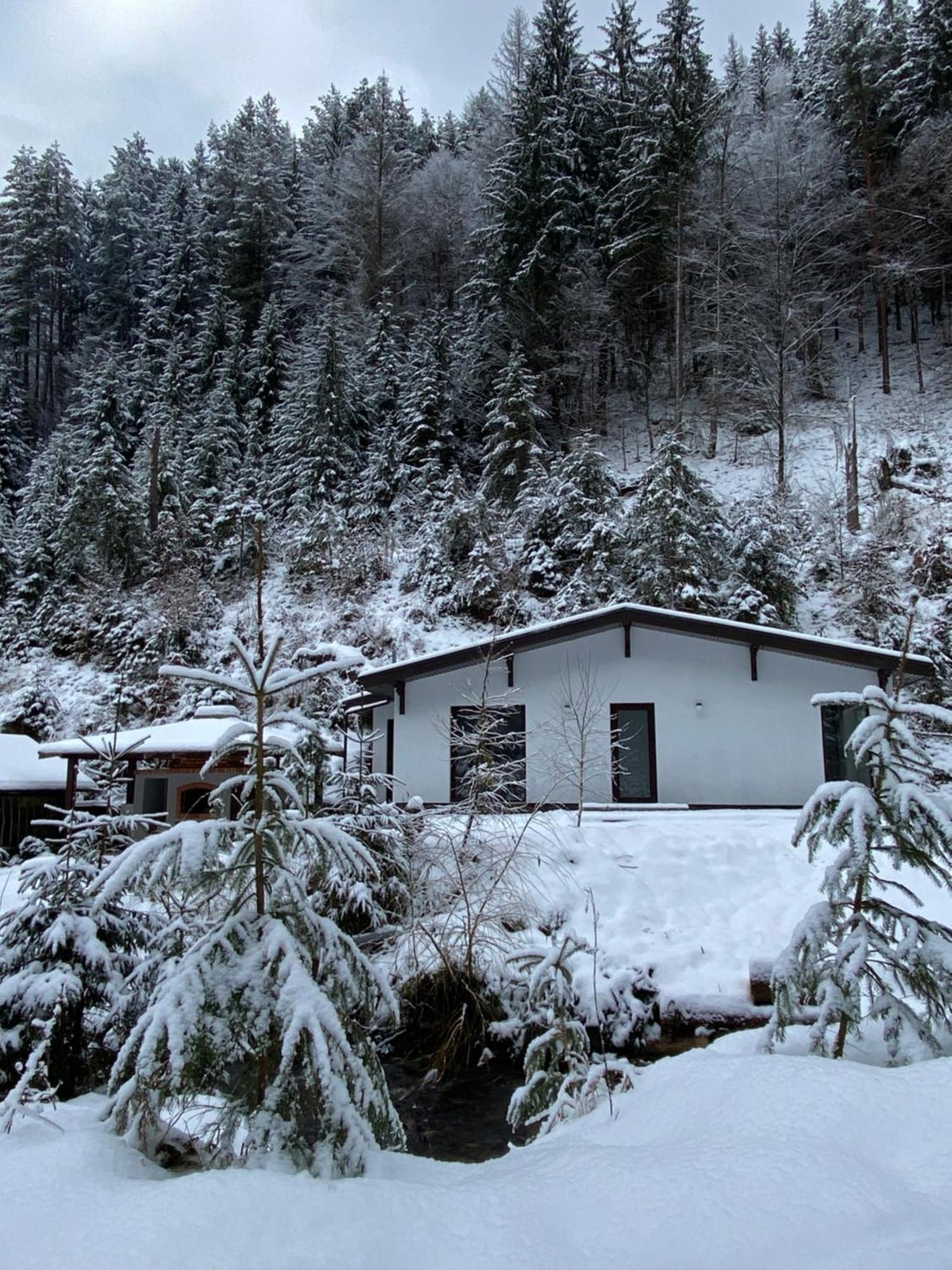 Cottage house Mizhhirya  エクステリア 写真