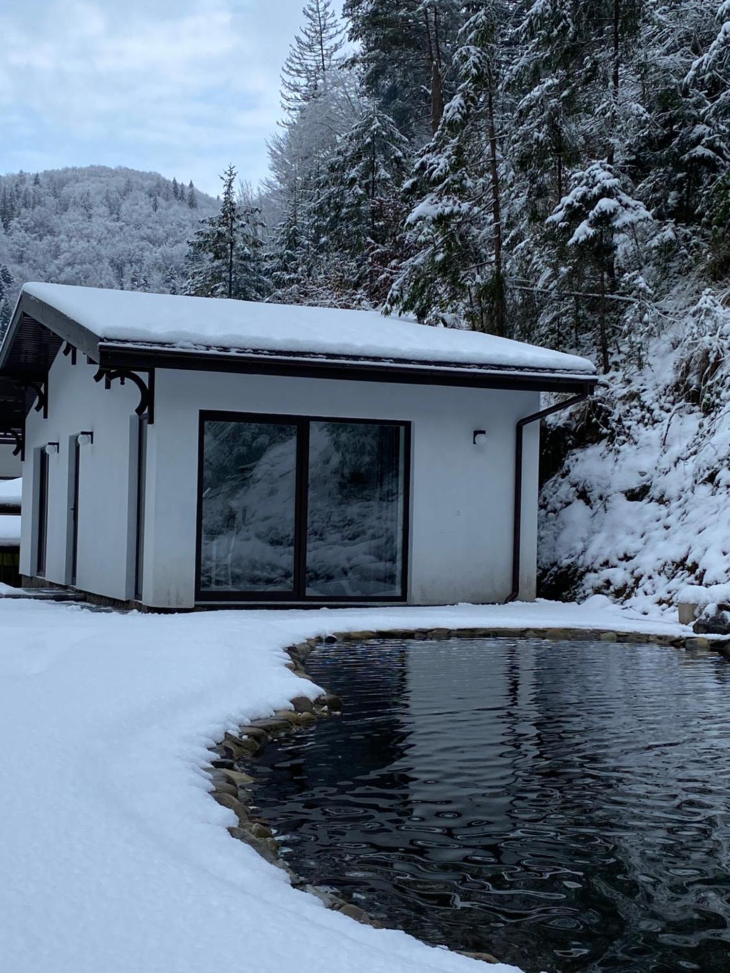 Cottage house Mizhhirya  エクステリア 写真