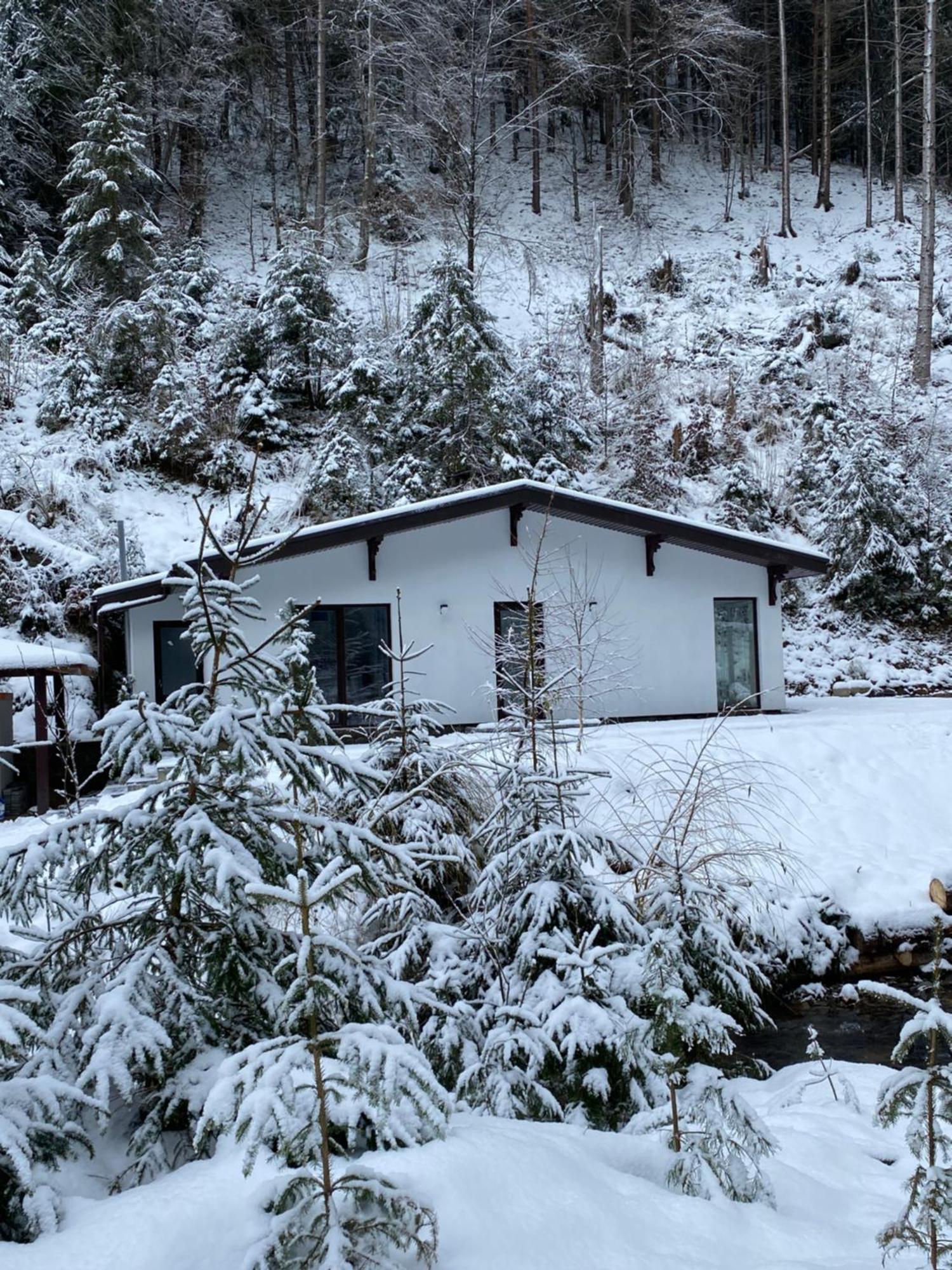 Cottage house Mizhhirya  エクステリア 写真