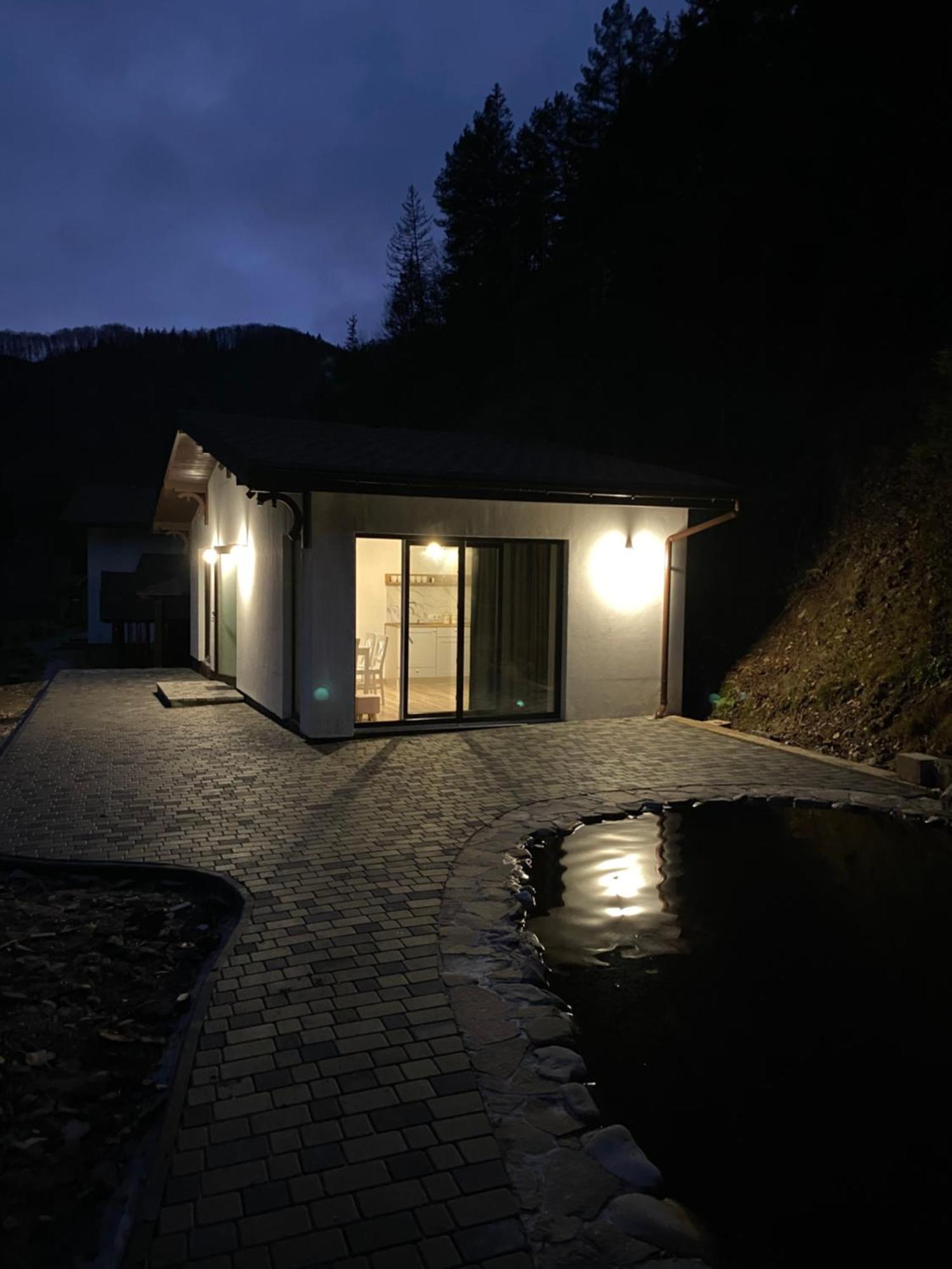 Cottage house Mizhhirya  エクステリア 写真