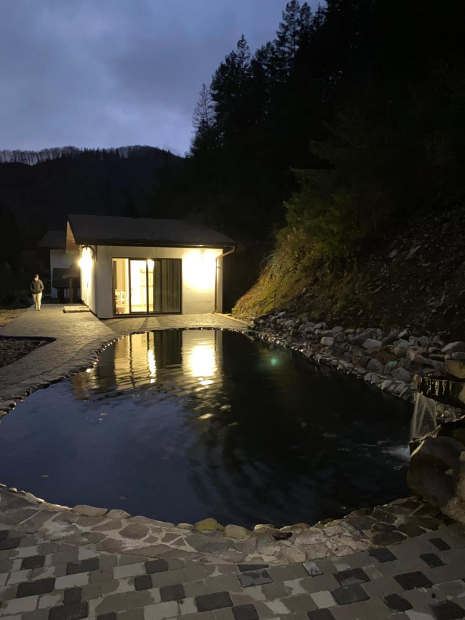 Cottage house Mizhhirya  エクステリア 写真