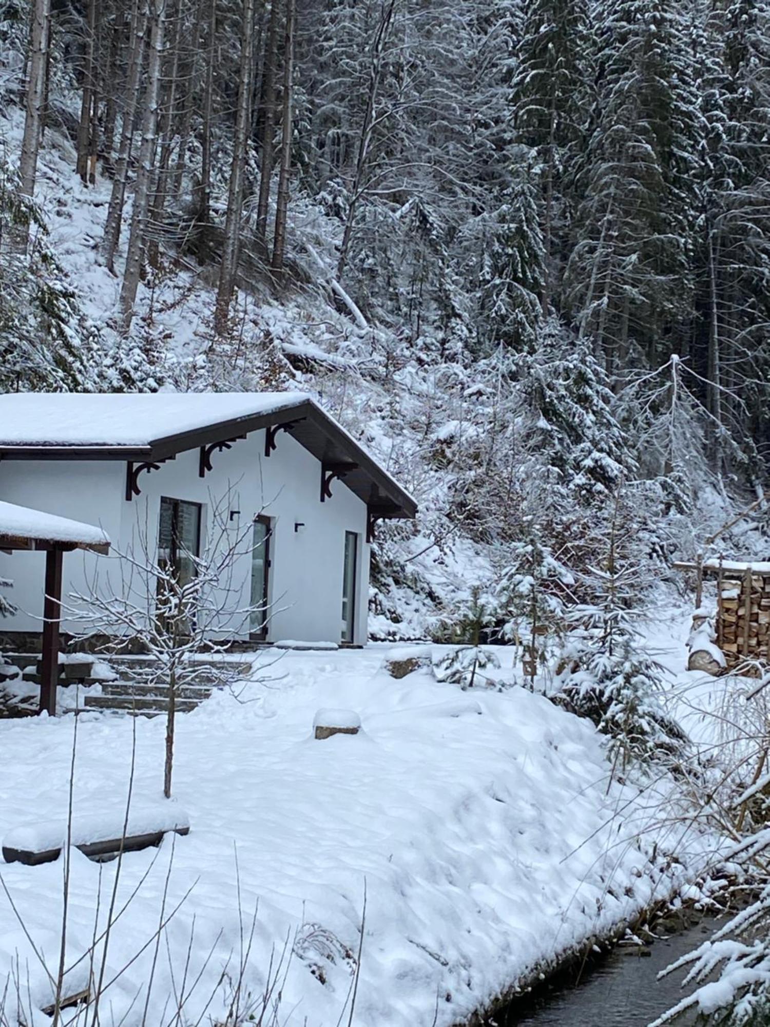 Cottage house Mizhhirya  エクステリア 写真