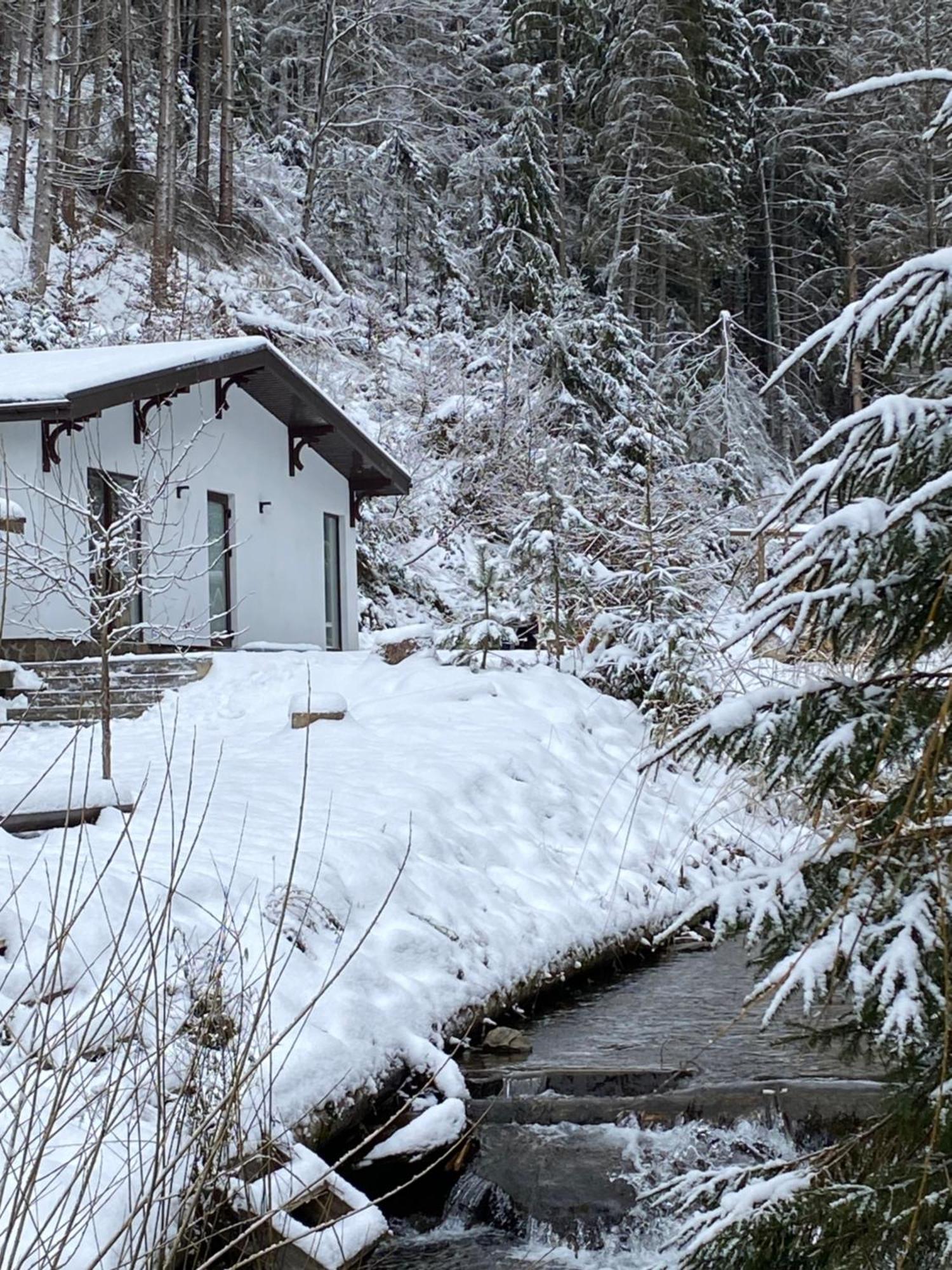 Cottage house Mizhhirya  エクステリア 写真